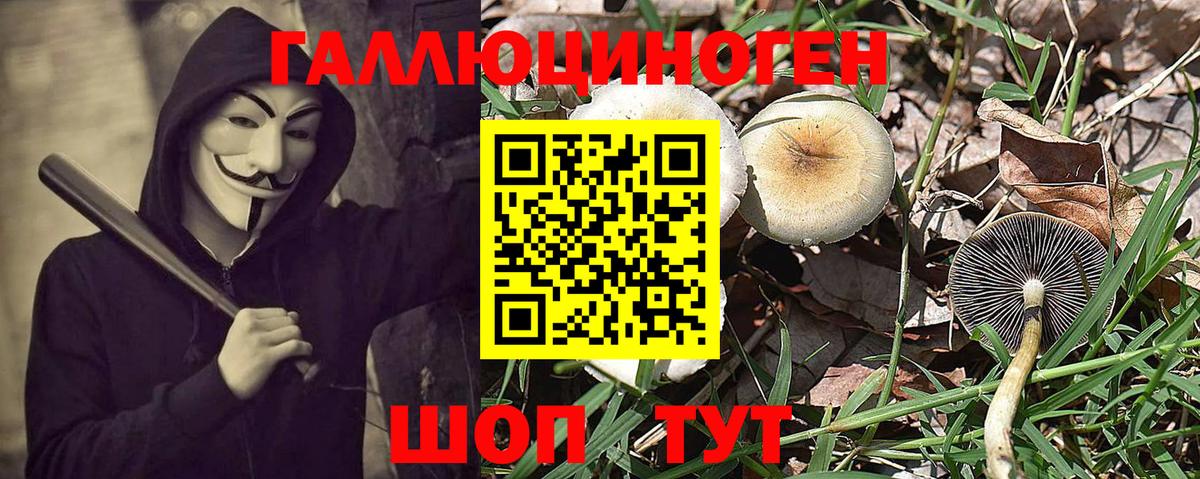 Элиста  купить наркоту  Вход с VPN  Псилоцибиновые грибы Psilocybine cubensis 