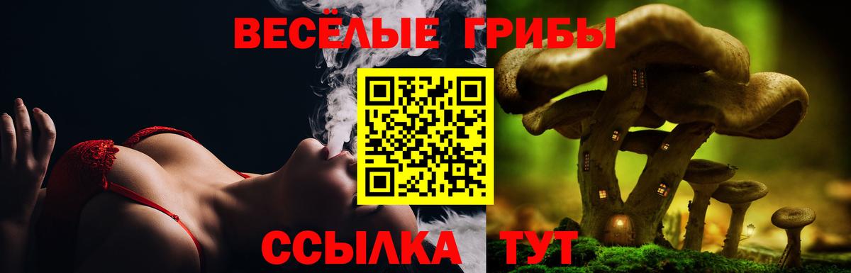 Галлюциногенные грибы Cubensis Элиста